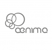 logo aenima